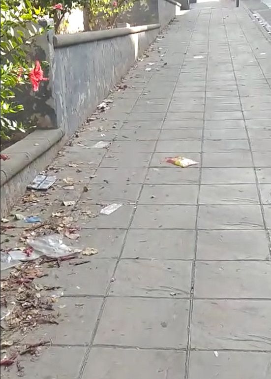 El PSOE denuncia la acumulación de suciedad en la calle Gibraltarillo, donde está el acceso al campo de fútbol del Cerrillo y muy cerca de una Guardería