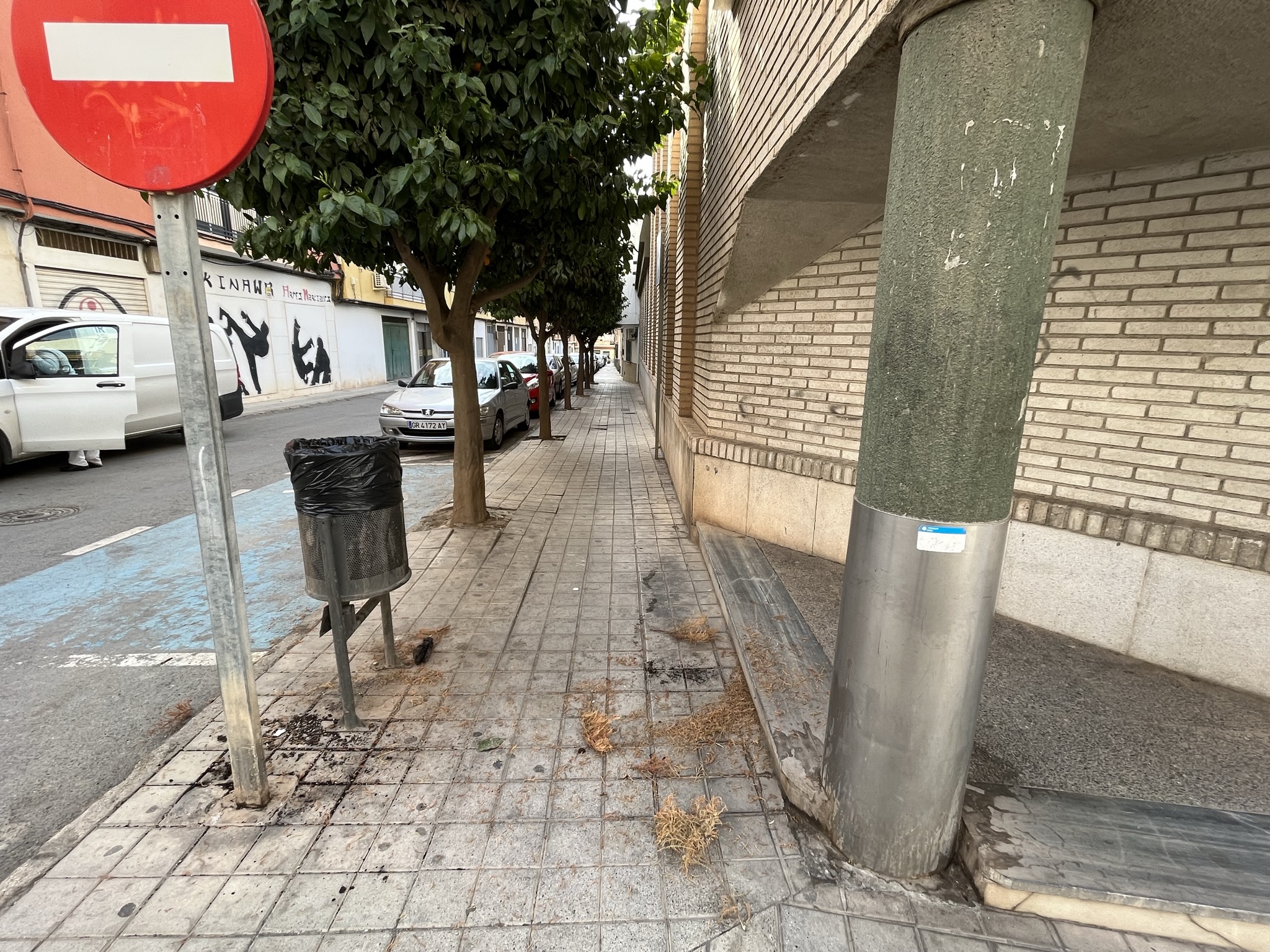 El PSOE vuelve a demandar una actuación urbanística en la calle Chile, en el barrio del Santísimo