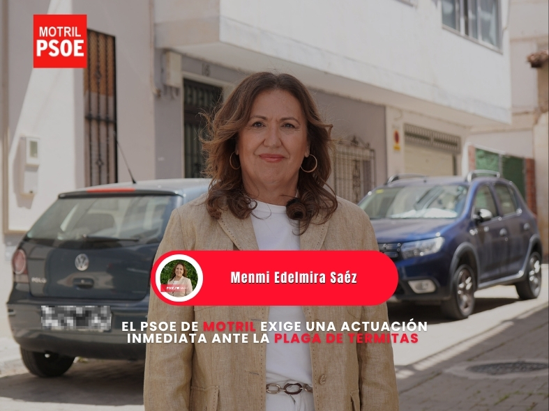 El PSOE de Motril exige una actuación inmediata ante la plaga de termitas que «devora» el centro de la ciudad
