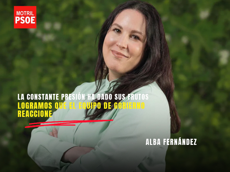 El PSOE de Motril logra que el equipo de gobierno reaccione y saque a licitación el arreglo de parques infantiles y patios colegiales